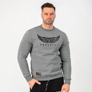 Bluza klasyczna Wings Gray-Proudest Best