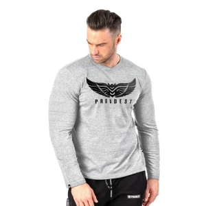 Longsleeve Wings Gray Melange-Proudest Fashion